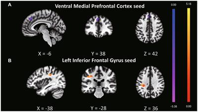 Perceiving humanness across ages: neural correlates and behavioral patterns